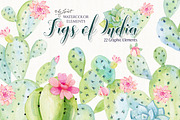 Figs of India Watercolor, an Illustration by helloPAPER (Thumbnail 1 of 2)