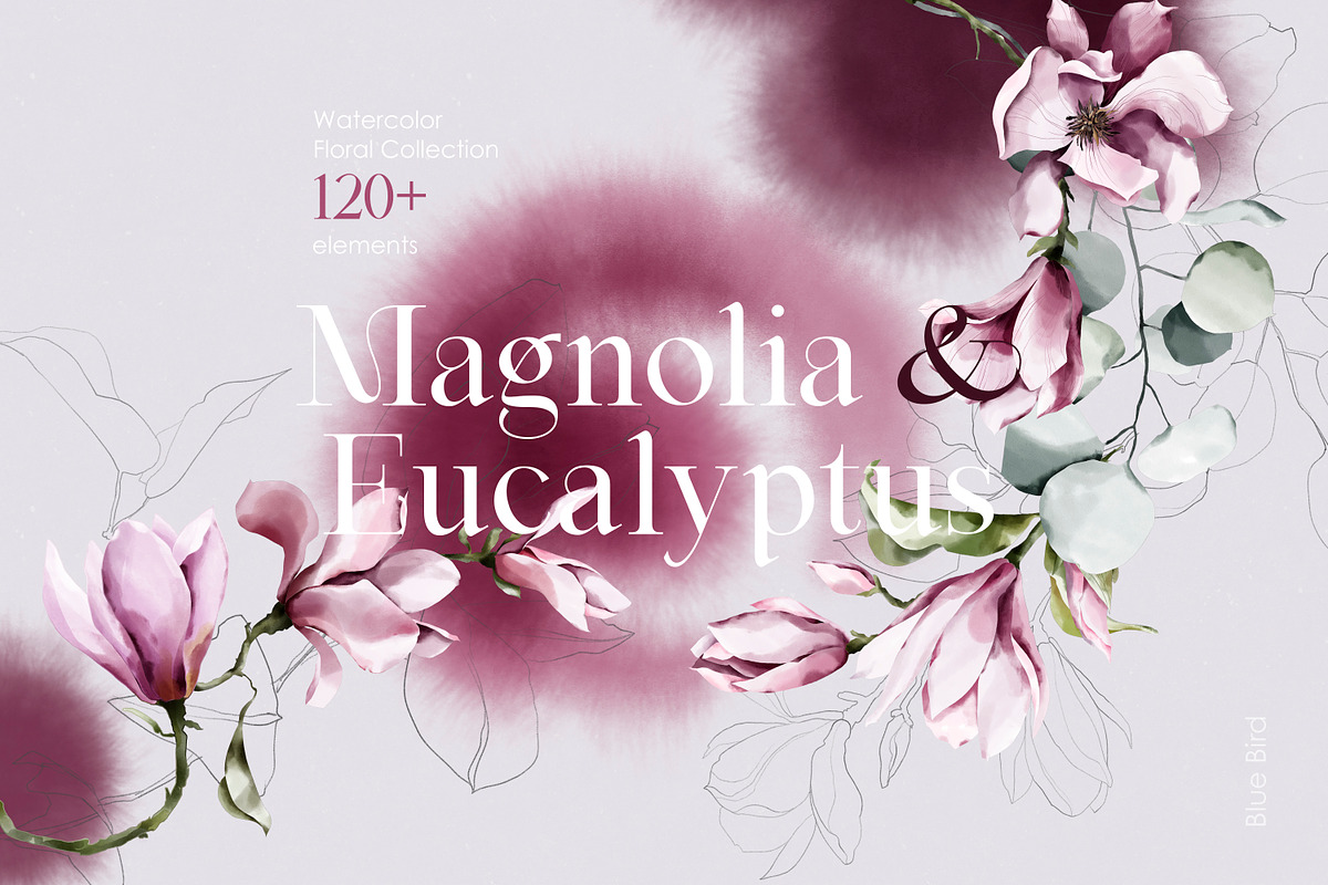 Magnolia & Eucalyptus. Watercolor, an Object Illustration by Colden Blue (Photo 1 of 15)