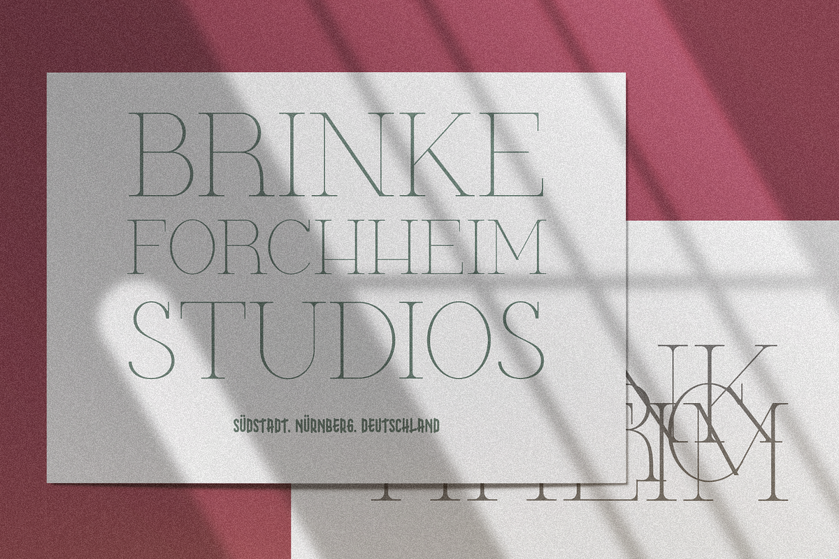 TwoOne, a Serif Font by FactoryType Studio (Photo 8 of 14)