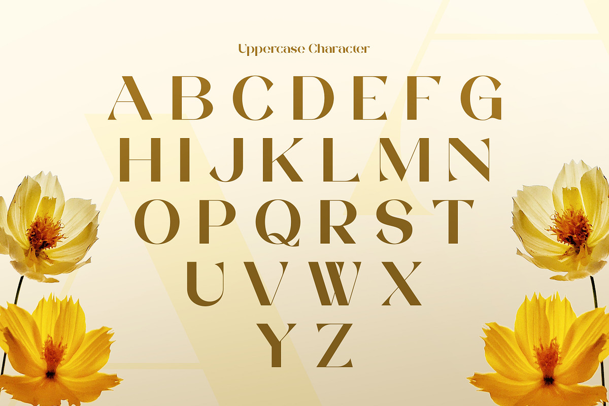 Vangier - Elegant Sans Serif Font, a Sans Serif Font by Flawless And Co (Photo 6 of 10)