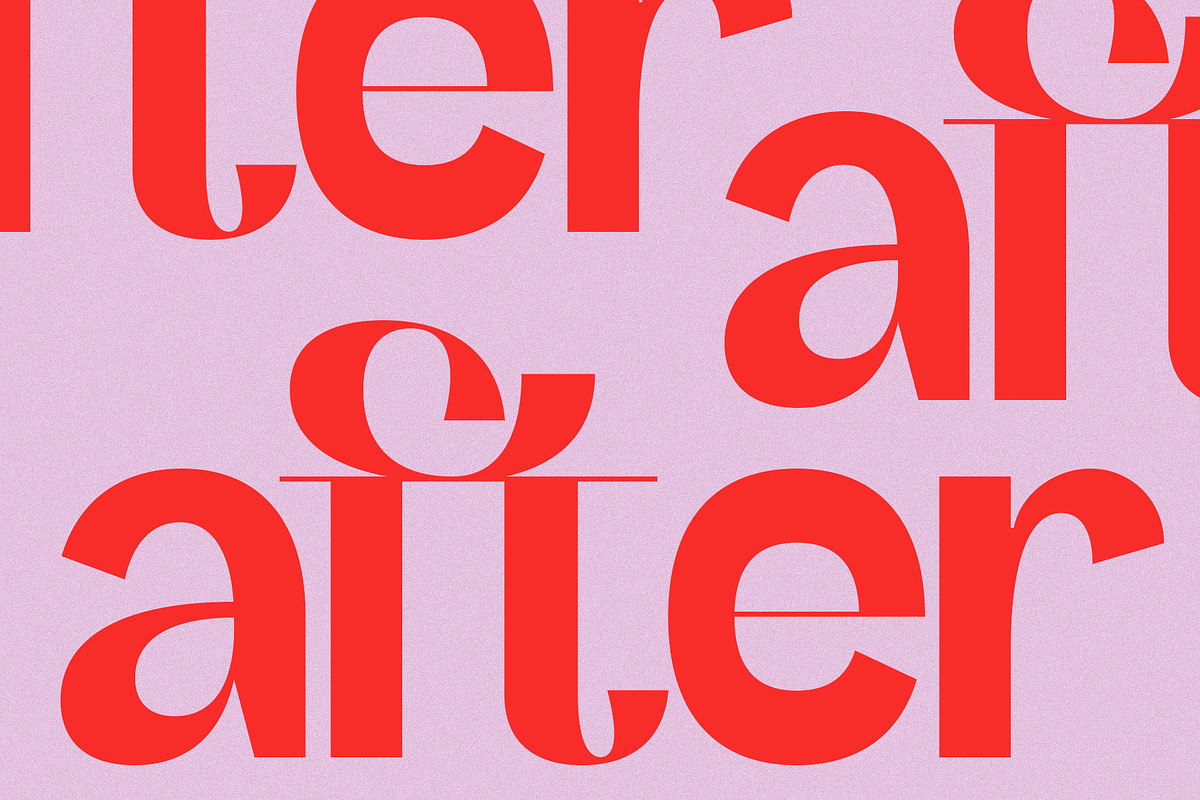 SLTF Refugio - Modern Grotesk Font, a Sans Serif Font by SilverStag Type Foundry (Photo 16 of 30)