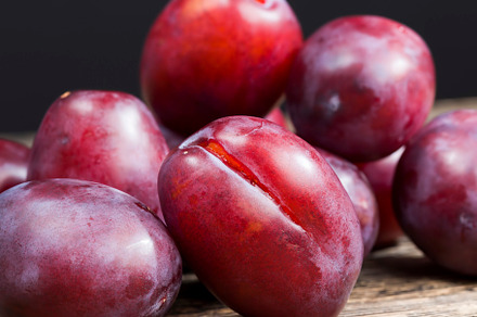 red homemade plums during cooking, a Photo by MyPhotos