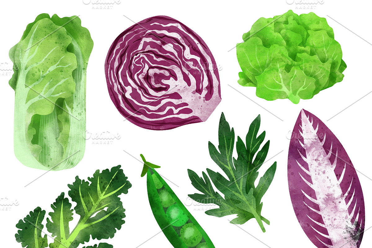 Vegetables, Herbs Watercolor Clipart, an Object Graphic by JSolomatina (Photo 6 of 15)