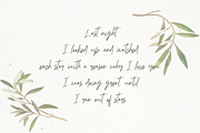 Mandaly, a Script Font by Alexander Tiunov (Thumbnail 2 of 6)