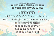 Creative Summer | Script Font, a Script Font by Scratchones (Thumbnail 7 of 8)