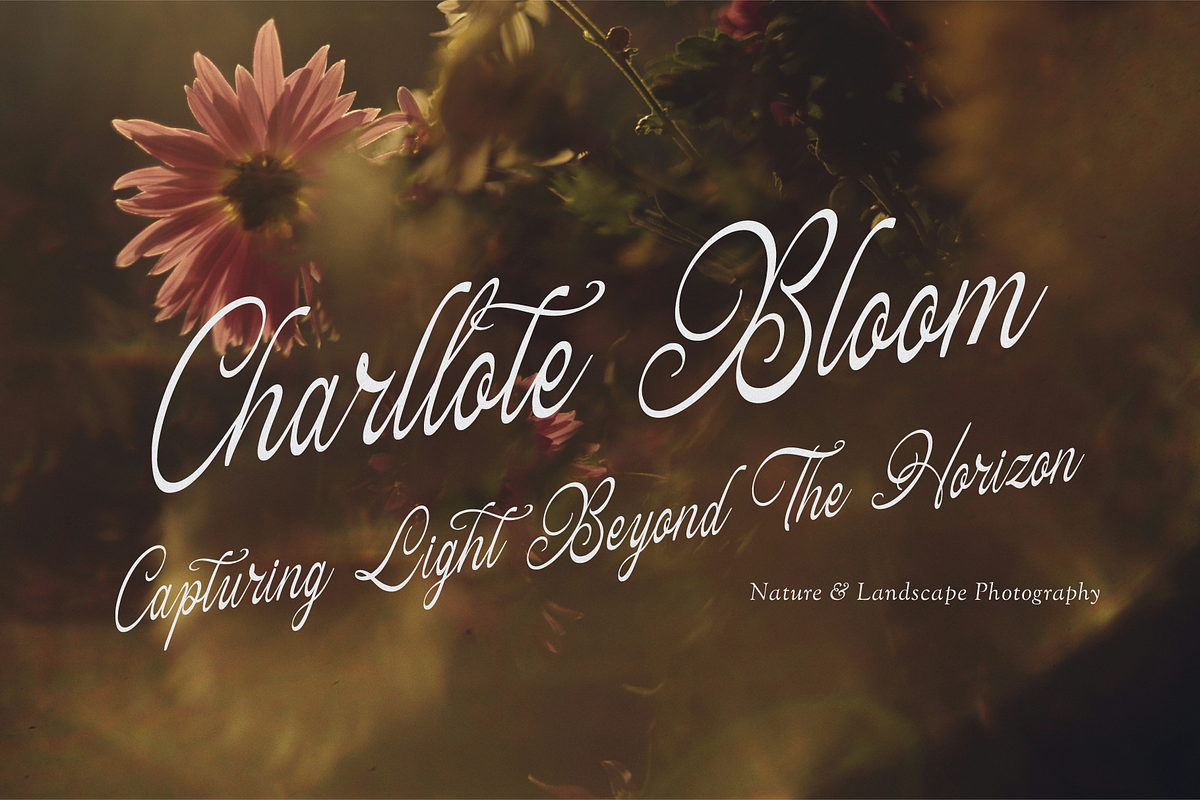 Hauliot Roisy | Handwritten Romantic, a Script Font by gracetype_studio (Photo 5 of 12)