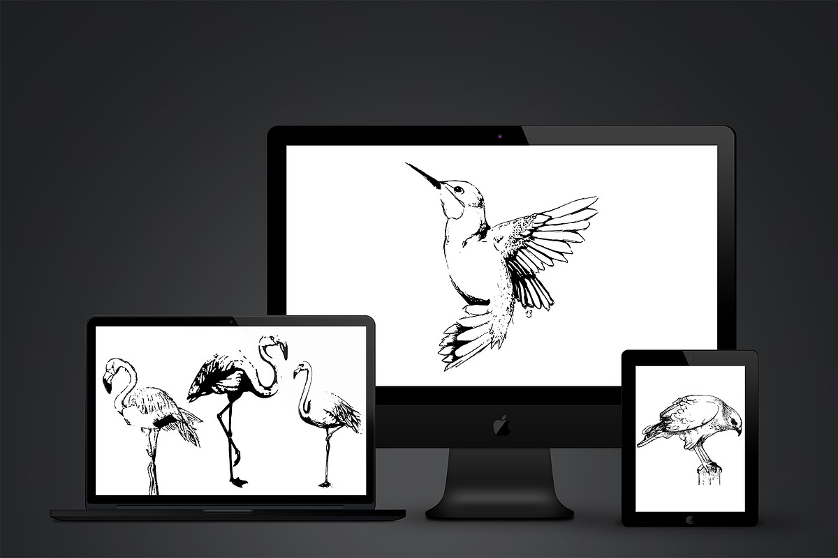 Birds set vector. Silhouette images, an Animal Illustration by AnastasiyaOleynik (Photo 5 of 8)