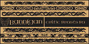 Celtic-BA, a Symbol Font by Bannigan Artworks (Thumbnail 1 of 3)