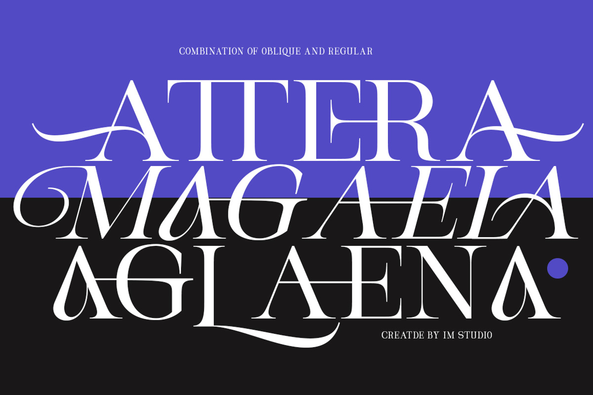 Magerla Serif, a Serif Font by IM Studio (Photo 2 of 12)