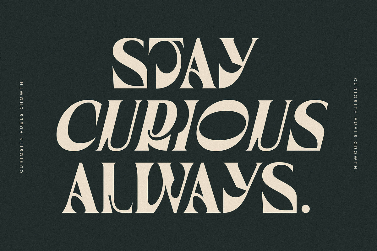 Waflerd Modern Display Font, a Serif Font by Letterena Studios (Photo 9 of 15)