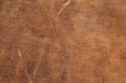 Leather texture featuring abstract, animal, and antique