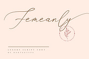 Femeanly - Casual script font, a Script Font by RantautypeStudio (Thumbnail 1 of 13)
