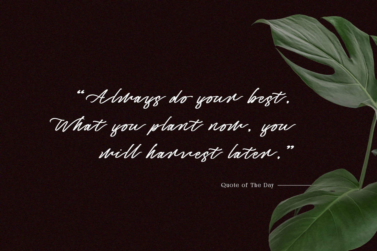 Captivate Script, a Script Font by Letterhend Studio (Photo 2 of 9)
