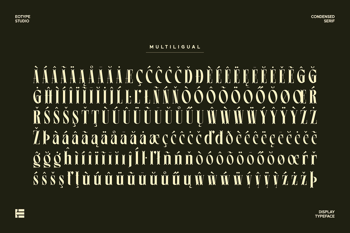 Leonice - Display Font, a Font by Eotype Studio (Photo 10 of 12)