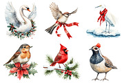 Christmas Birds Sublimation Clipart, an Illustration by Daily.Designs (Thumbnail 4 of 5)