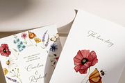 Watercolor Botanical Wildflowers Set, a Decorative Illustration by Carol Lozove (Thumbnail 17 of 36)