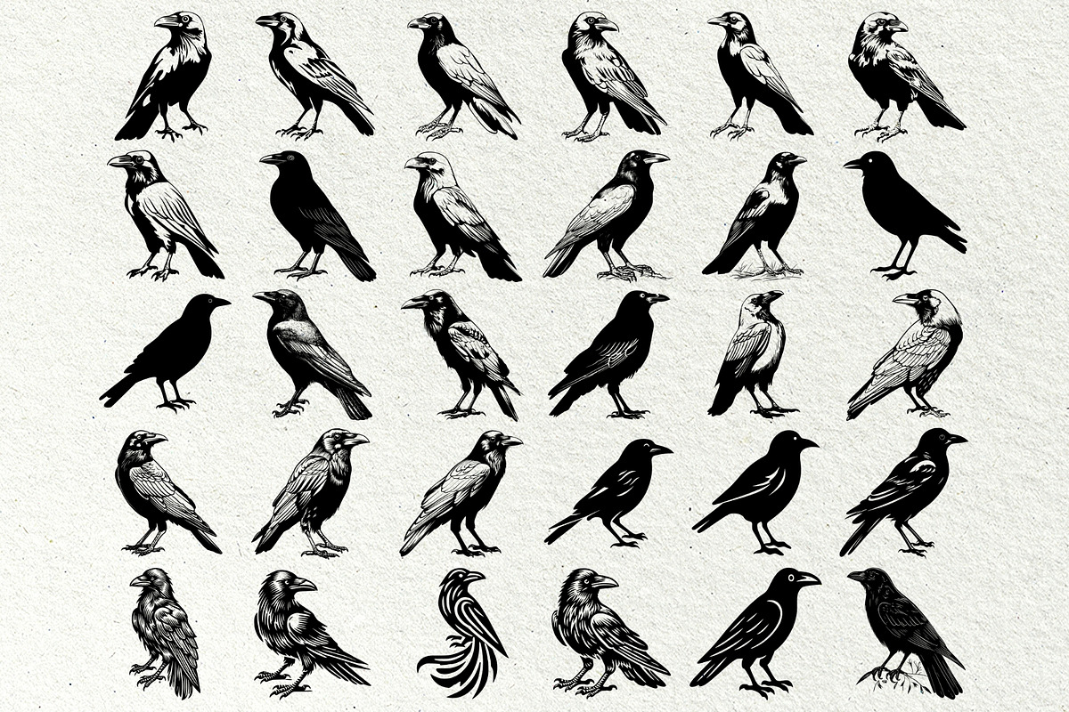 Crow SVG File. Raven Clipart PNG, an Animal Illustration by DENIDigitalArtSudio (Photo 7 of 8)