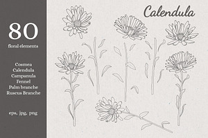 Summer Flowers. Line Art Floral Set.