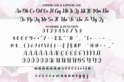 Magnolia | Script Font, a Handwritten Font by Scratchones (Thumbnail 7 of 9)