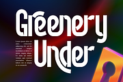 Misleading Challenge Font, a Sans Serif Font by 177Studio (Thumbnail 4 of 8)