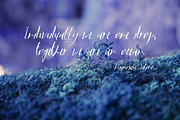 LaPayne Font, a Script Font by SophieSaxo (Thumbnail 2 of 8)
