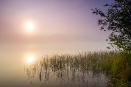 Sunrise over a misty lake stock photo containing perspective and light, a Nature Photo by photoWorkshop