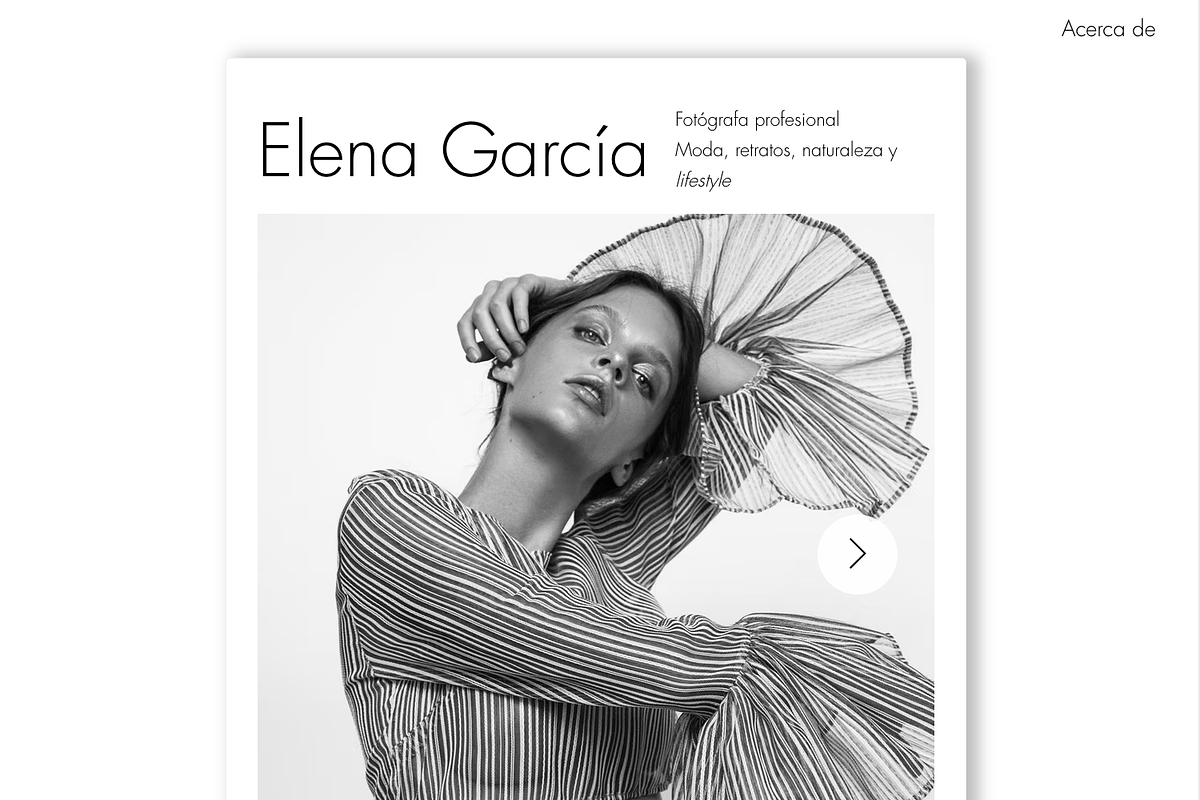 Portfolio Website Template preview 3