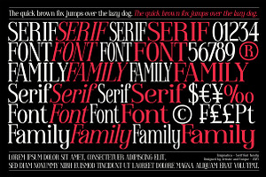 Enigmatica - Serif Font Family