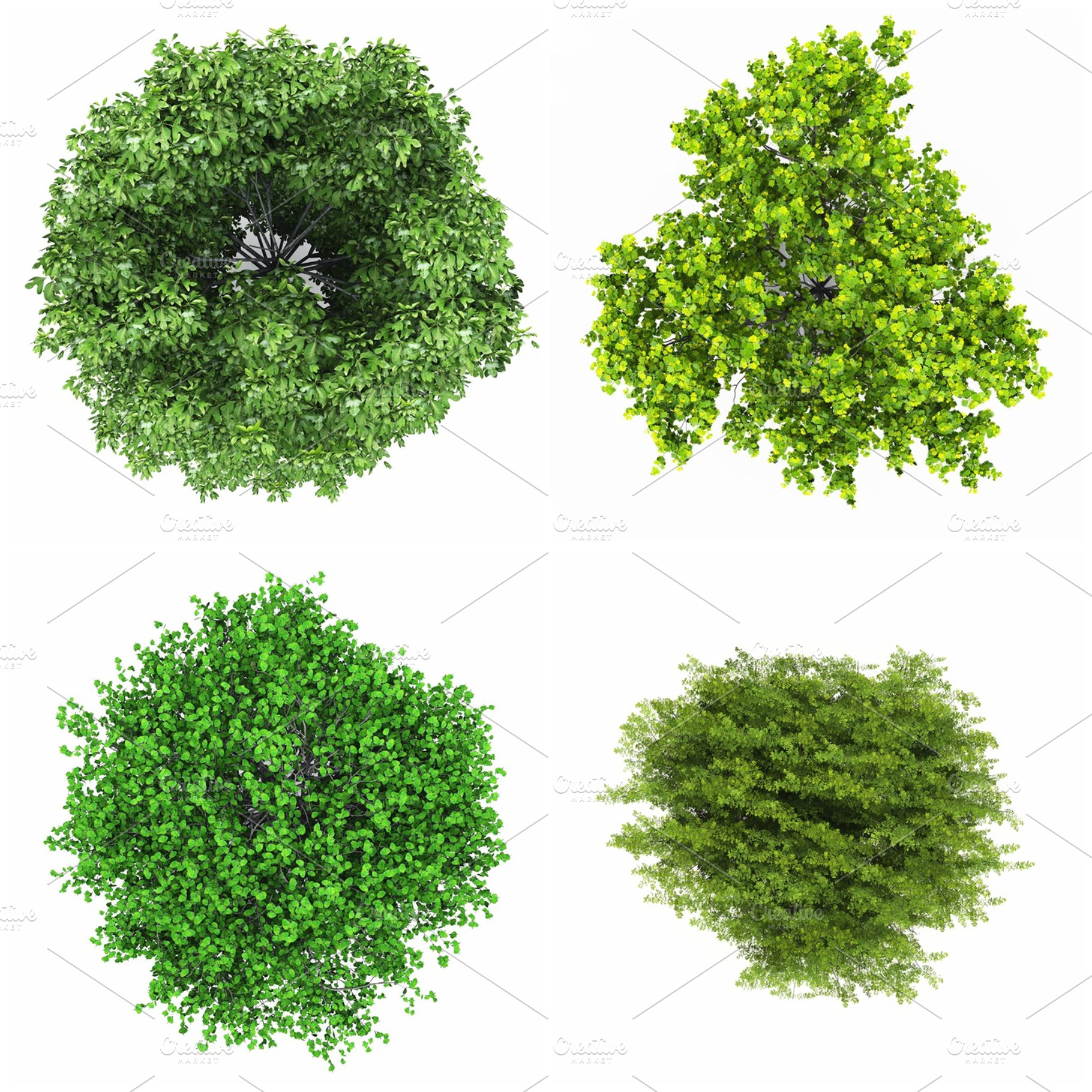 Tree top view stock photo containing 3d and architecture, a Nature ...
