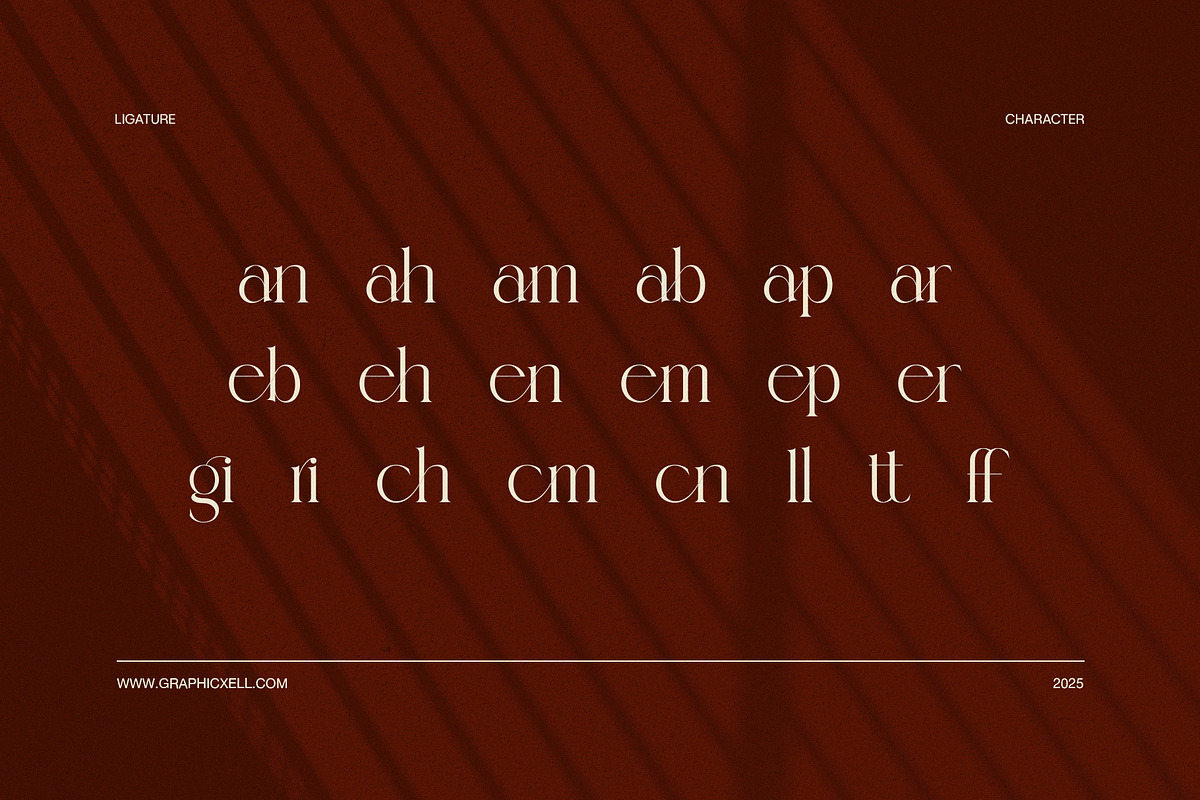 Qelgis Stylish Serif Font, a Serif Font by Elegant Font (Photo 8 of 8)