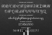 Anglesti Script, a Script Font by GloowStudio (Thumbnail 8 of 9)