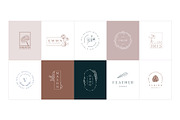 50 Botanical Floral Logos, a Branding & Logo Template by Graphicdome (Thumbnail 2 of 10)
