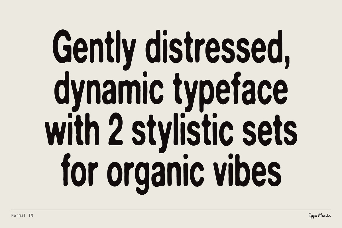 Normal TM – Gently Handled Grotesk, a Sans Serif Font by Type Mania (Photo 2 of 12)