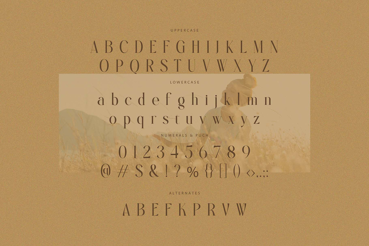 Regie - Elegant Display Serif Font, a Serif Font by BrandSemut (Photo 8 of 8)