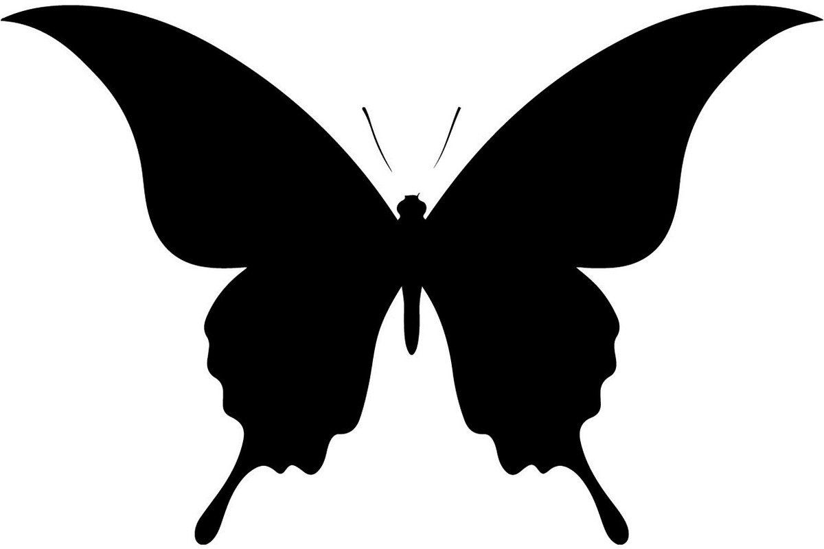 Elegant Butterfly Silhouette, an Object Graphic by Creativeshirt (Photo 2 of 17)