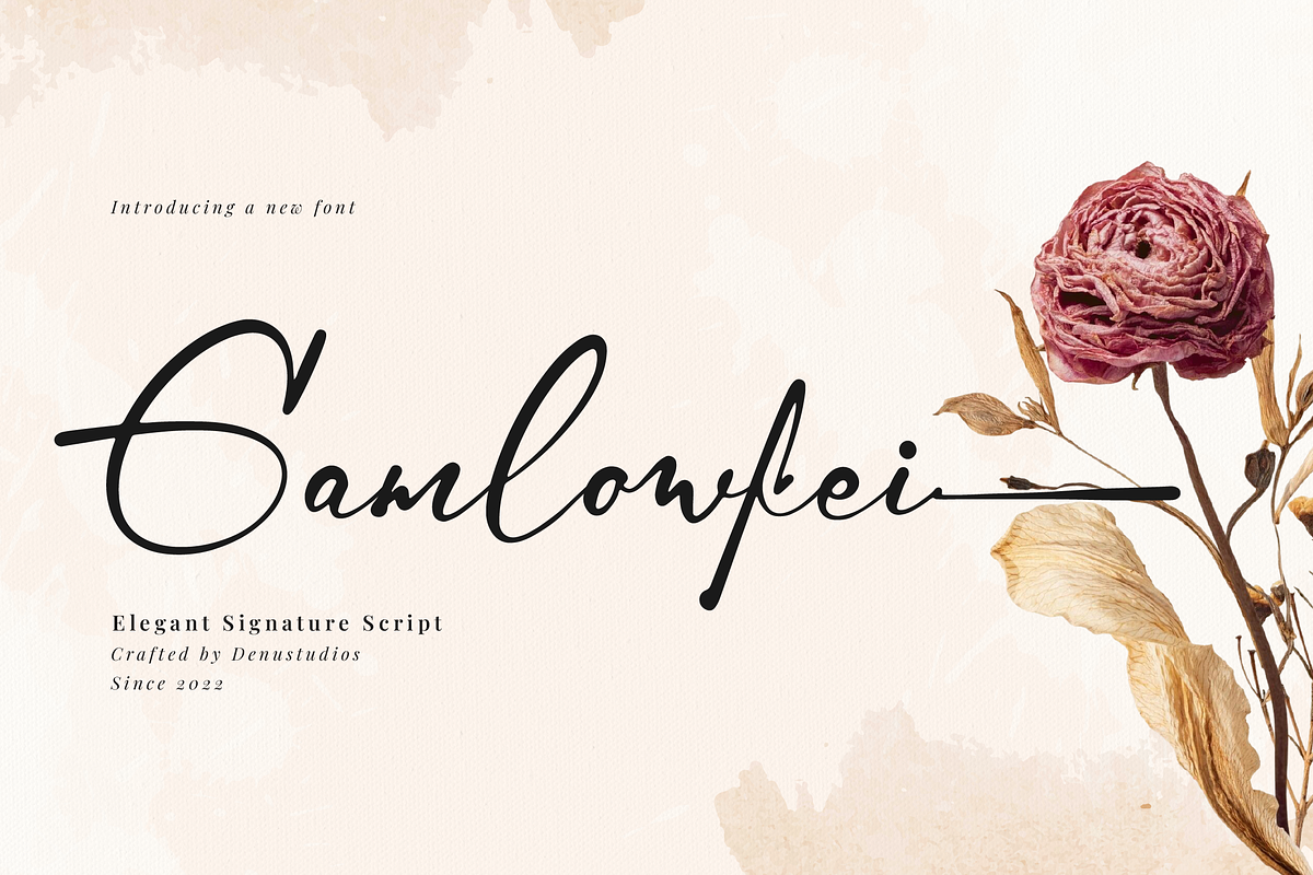 Gamlowfei | Elegant Signature, a Script Font by Denustudios (Photo 1 of 12)