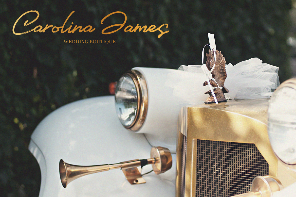 Royal Voyage, a Script Font by Larin Type Co. (Photo 9 of 12)