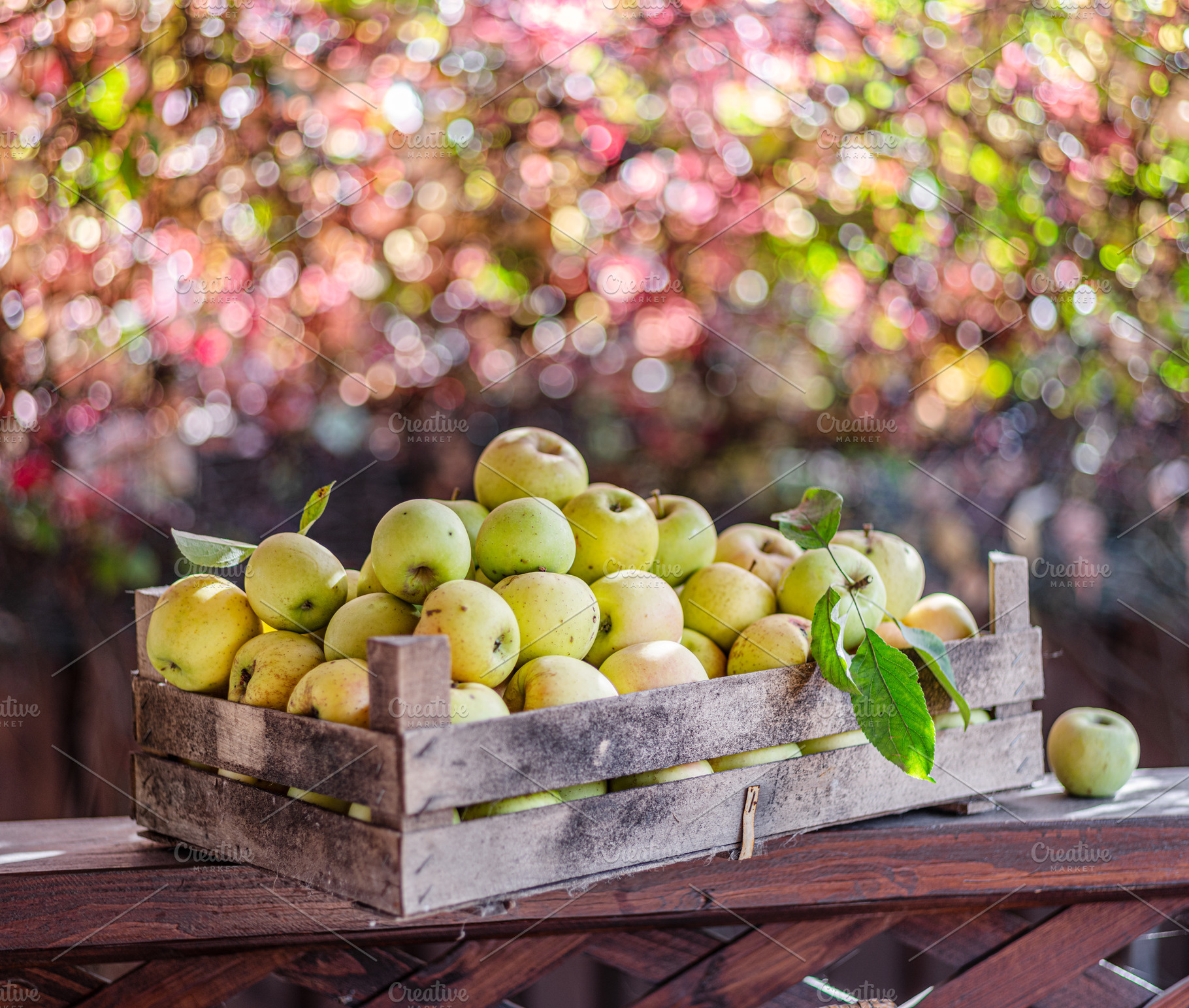 Ripe apples in the wooden box, a Food & Drink Photo by Volff