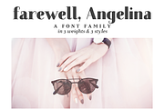 Farewell Angelina font family, a Serif Font by Ana's Fonts (Thumbnail 1 of 11)
