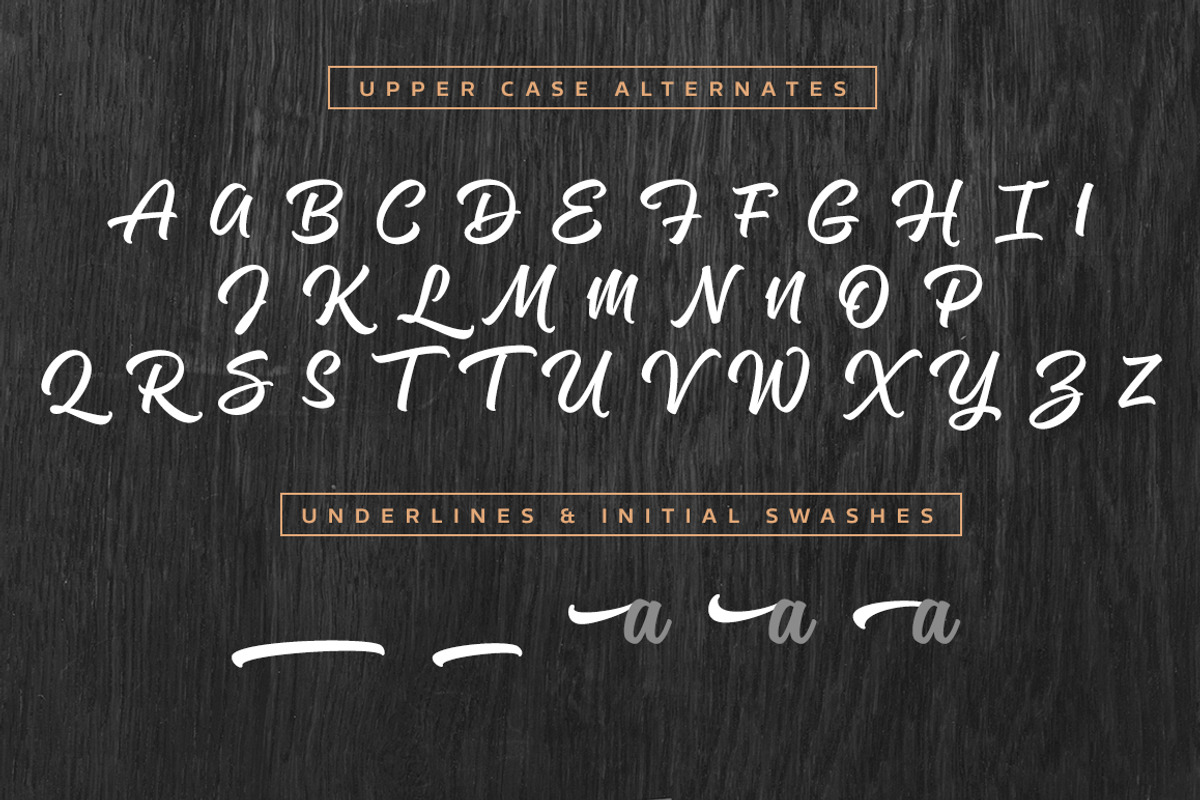 Magneton Bold Slanted, a Script Font by Mika Melvas (Photo 12 of 13)
