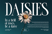 Lagtesy Elegant Serif Font, a Serif Font by Perfectype (Thumbnail 6 of 8)