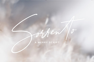 Sorrento | A Merry Script, a Script Font by Jen Wagner Co