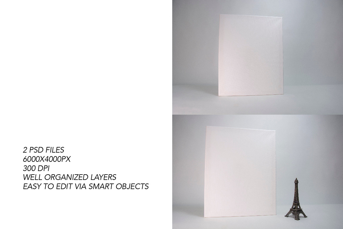 Canvas Mockups, a Print Template by Almazova Dolzhenko (Photo 2 of 7)