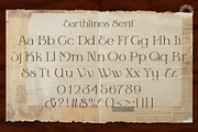Earthlines - Organic Serif & Sans, a Serif Font by Setara Langit CreativeStd (Thumbnail 12 of 13)