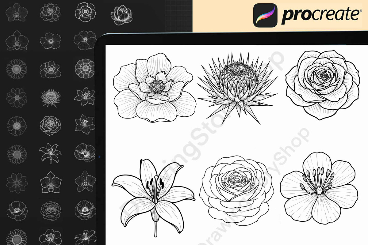 Floral & Botanical Procreate Stamps, a Brush Add-On by DrawingStoryShop (Photo 6 of 8)
