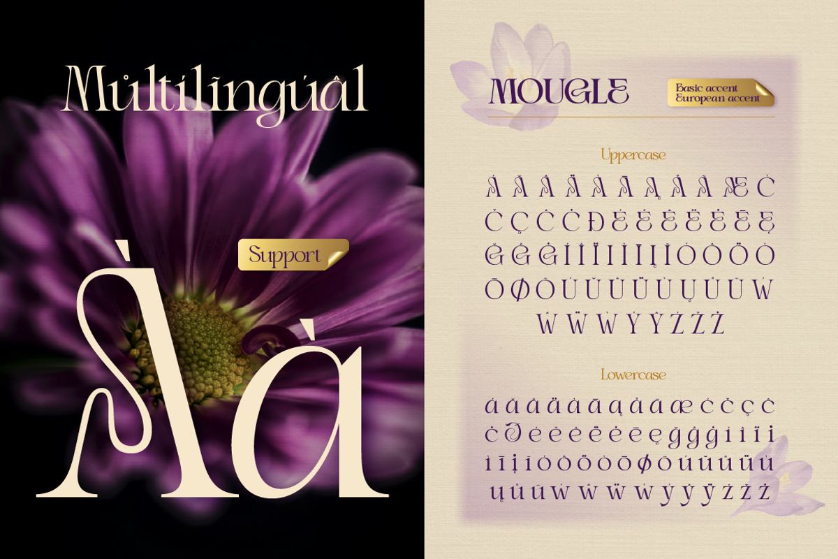 Mowgle, a Serif Font by Burntilldead (Photo 11 of 12)