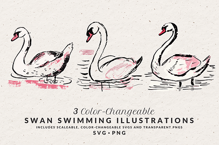 Hand Drawn Swan Illustrations, an Animal Illustration by The October Creative