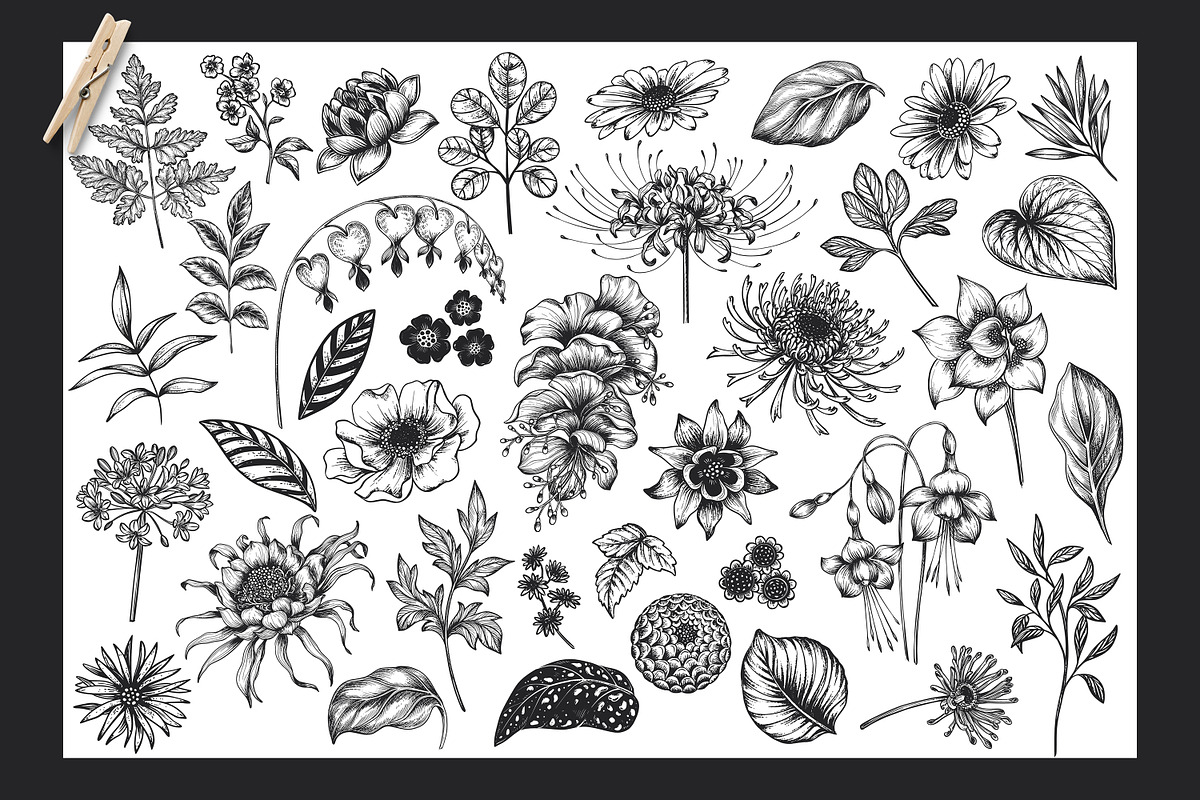Day and Night. Vector Floral Set, a Pattern Graphic by Molly art (Photo 2 of 14)