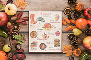 Autumn food clipart & bucket list, an Animal Illustration by Visual Animal (Thumbnail 7 of 8)