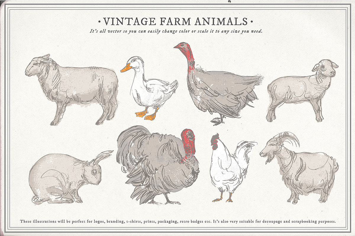 Farm Animals Set, an Object Graphic by Siosay (Photo 9 of 12)